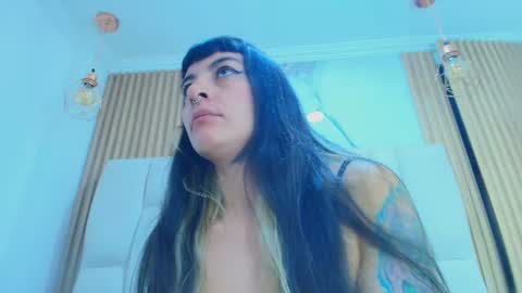 Kitten online show from August 3, 11:26 am
