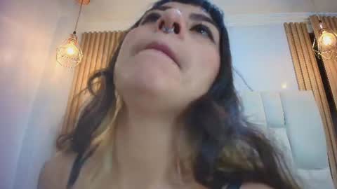 Kitten online show from August 5, 12:08 pm