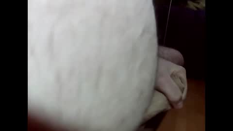 Snapshot of ncbncb chatting on March 1, 8:21 pm ncbncb online show from March 1, 8:21 pm