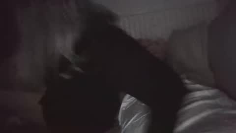 Snapshot of nchastain74 chatting on January 30, 6:03 am wetnikki6590 online show from January 30, 6:03 am