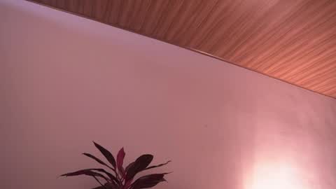 Snapshot of ne_fertari chatting on May 19, 1:06 pm Nefertari online show from May 19, 1:06 pm