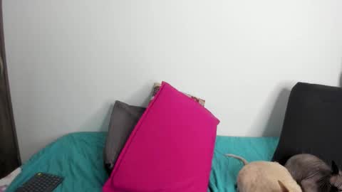 Snapshot of neeii chatting on September 22, 1:29 am Nei turn green online show from September 22, 1:29 am