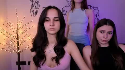 Meow online show from July 12, 9:44 am