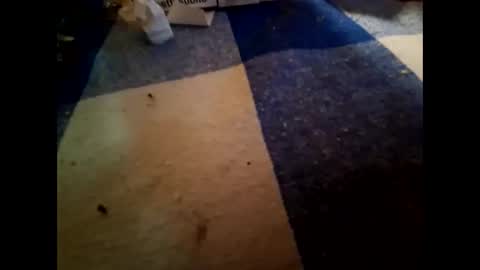 boo online show from November 1, 10:23 pm