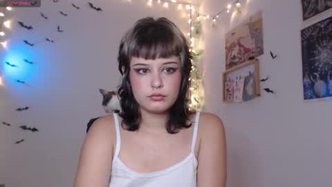 Mar online show from November 6, 6:47 am