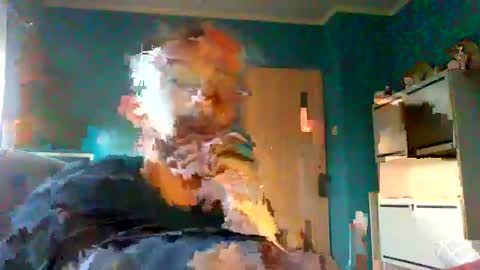 Mark online show from February 8, 7:48 am