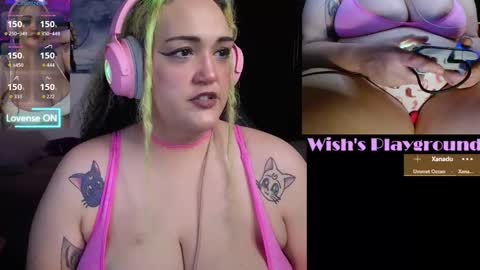 Wishs Playground online show from January 15, 3:11 am