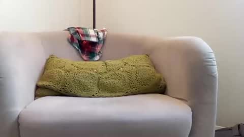 Snapshot of neversatisfied911 chatting on December 21, 6:34 pm NvrSats911 online show from December 21, 6:34 pm