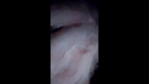 Snapshot of neversatisfied911 chatting on December 25, 10:06 am NvrSats911 online show from December 25, 10:06 am