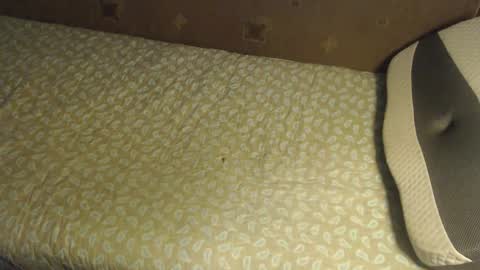 Lilly  online show from October 20, 3:40 am