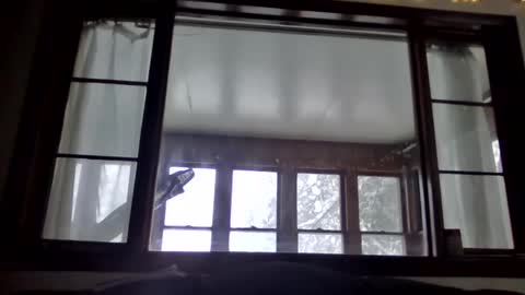 Snapshot of newguy81240 chatting on January 23, 3:54 pm Newguy81240 online show from January 23, 3:54 pm