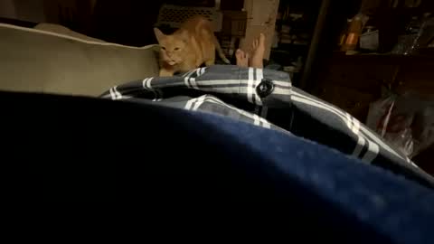 Snapshot of ngianop chatting on October 23, 7:40 am ngianop online show from October 23, 7:40 am