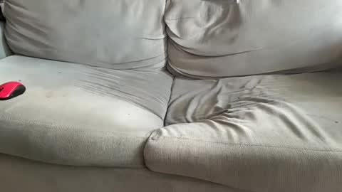 NH online show from December 7, 11:51 am