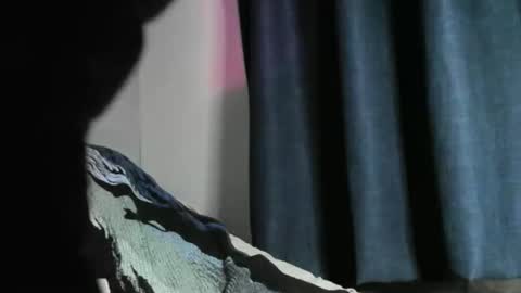 Snapshot of nicebbc7 chatting on December 22, 5:56 am Black Tarzan online show from December 22, 5:56 am