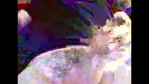 Nickyfruit online show from October 30, 9:22 am