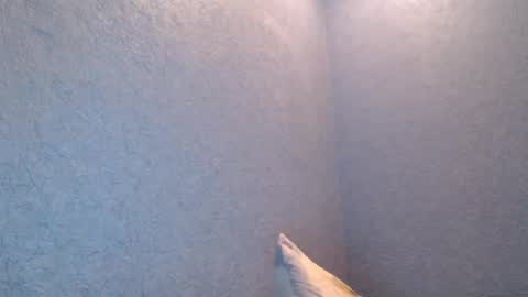 Snapshot of nikayshadow chatting on February 5, 4:47 pm NikayShadow online show from February 5, 4:47 pm