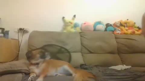 Brian and Logan Brogan online show from November 4, 3:33 pm