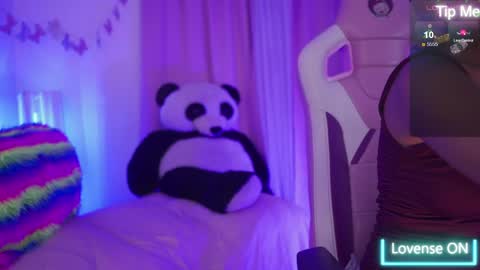 NIKERLY online show from April 29, 11:36 am