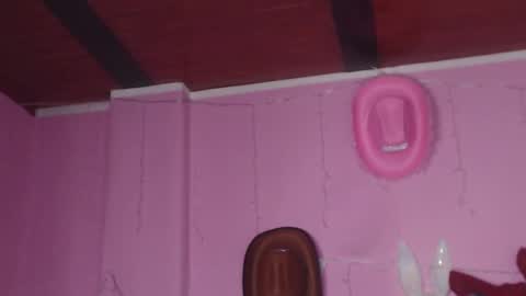 Snapshot of nikkirous_ chatting on March 3, 12:37 pm Nikkirous online show from March 3, 12:37 pm