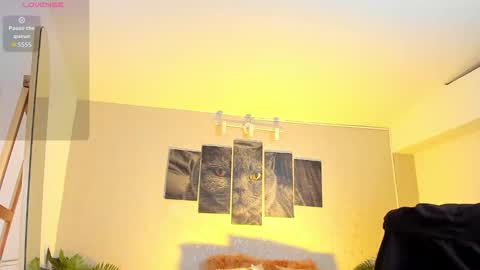 Nils online show from February 7, 4:49 am