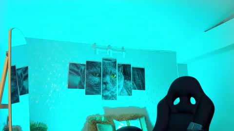 Nils online show from February 20, 6:48 am