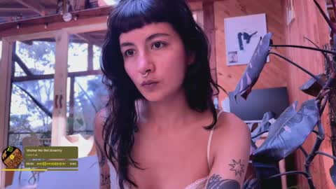 Nina.  online show from May 11, 7:44 pm