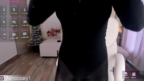 Snapshot of ninaa_sky chatting on December 15, 2:16 pm    online show from December 15, 2:16 pm