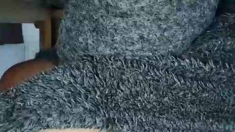 nineinchhard online show from May 19, 9:37 am