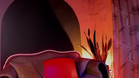 Noah online show from December 21, 8:28 am