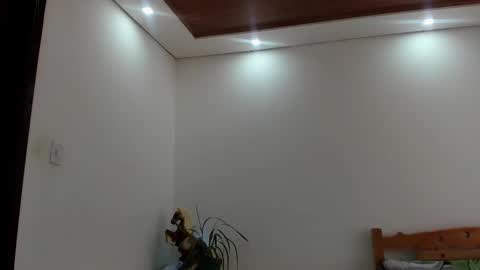 Snapshot of noahbrawn chatting on October 24, 1:29 pm LIAM- noah online show from October 24, 1:29 pm