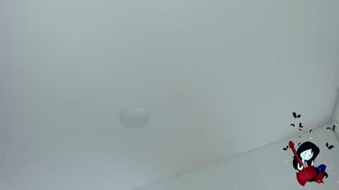 Noah  online show from October 29, 6:48 am