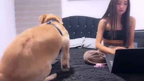 Snapshot of nocturnallovers_ss chatting on January 14, 3:34 am Jean Y Isa online show from January 14, 3:34 am