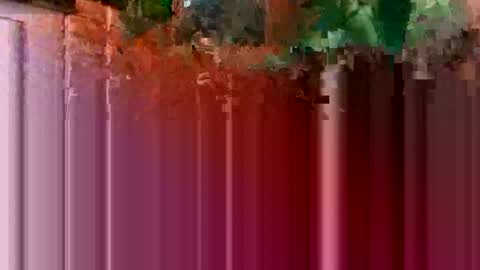 nocturnus1980 online show from January 16, 5:44 am