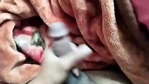 Snapshot of nooby942461 chatting on December 28, 5:44 am sim nib online show from December 28, 5:44 am