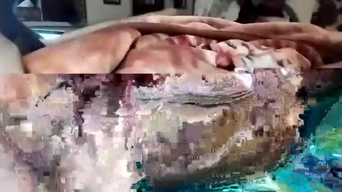 Snapshot of nooby942461 chatting on March 1, 10:31 pm sim nib online show from March 1, 10:31 pm