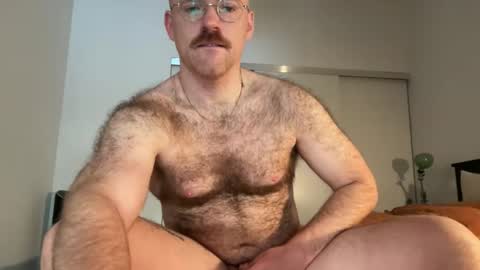 No Plan online show from February 4, 1:06 pm