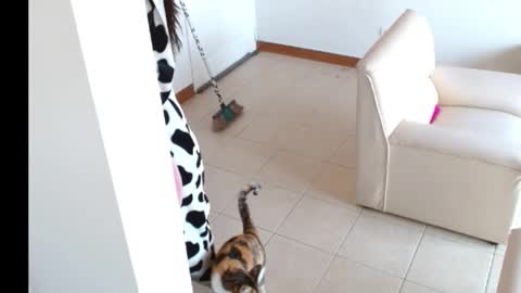 Snapshot of novaperotti chatting on September 14, 2:05 pm novaperotti online show from September 14, 2:05 pm