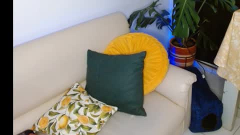 Snapshot of novaperotti chatting on October 8, 11:35 pm novaperotti online show from October 8, 11:35 pm