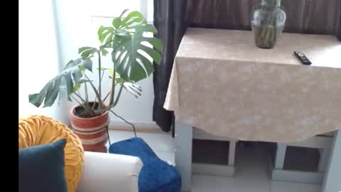 Snapshot of novaperotti chatting on November 5, 6:41 pm novaperotti online show from November 5, 6:41 pm