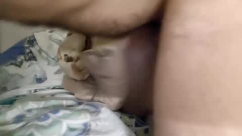 Lol online show from November 22, 4:22 am