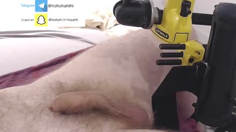 Snapshot of nuche99 chatting on November 1, 6:21 pm nuche99 online show from November 1, 6:21 pm