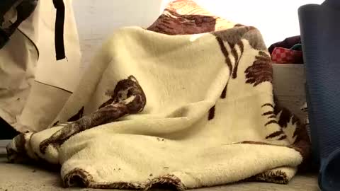 nuevotiempo online show from February 23, 12:57 pm