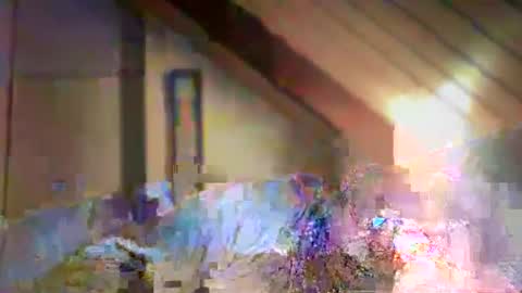 nurod online show from December 29, 4:40 pm