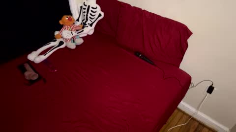 Nymphaea online show from February 16, 11:34 pm