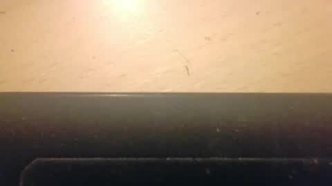 Snapshot of nymphmaster1 chatting on February 19, 12:46 am nymphmaster1 online show from February 19, 12:46 am