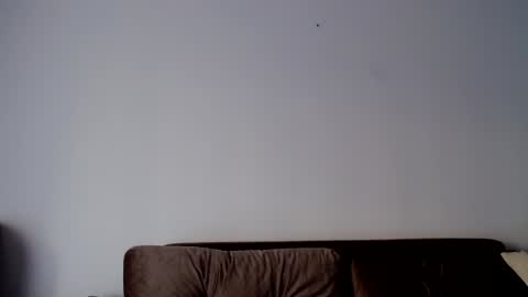 o_r_b_i_t online show from December 19, 1:29 pm