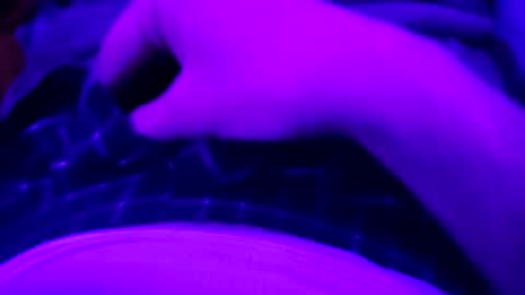 Snapshot of octorok1 chatting on January 1, 2:30 am octorok1 online show from January 1, 2:30 am