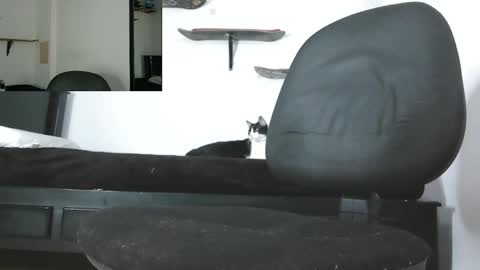 Zack online show from May 13, 3:48 am