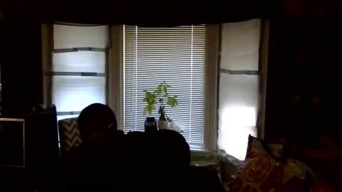 Snapshot of oflores77 chatting on February 16, 3:08 pm oscar flores online show from February 16, 3:08 pm