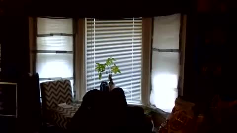 Snapshot of oflores77 chatting on February 24, 1:42 pm oscar flores online show from February 24, 1:42 pm